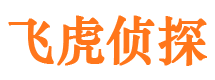 宁江侦探公司